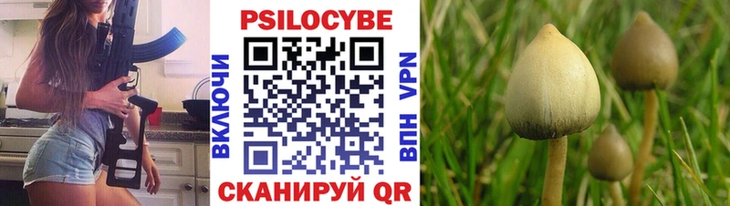 Галлюциногенные грибы мухоморы  Купить закладки  Талдом 
